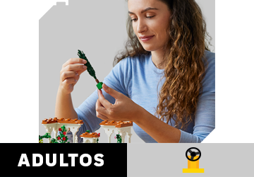 Categoria de idade Adultos