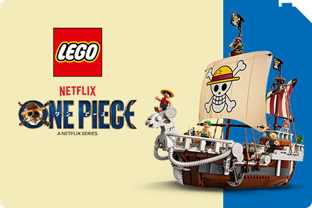 Categoria One Piece